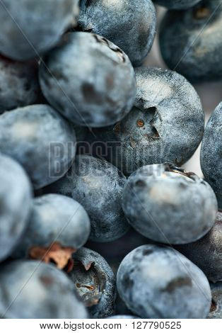 Ripe bilberry or blueberry as texture background