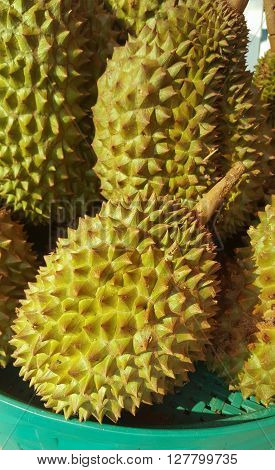 Durian in the basket at fruits market