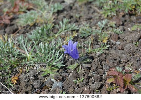 Far-east ethnical nature pictures and south of Russian Federation tour