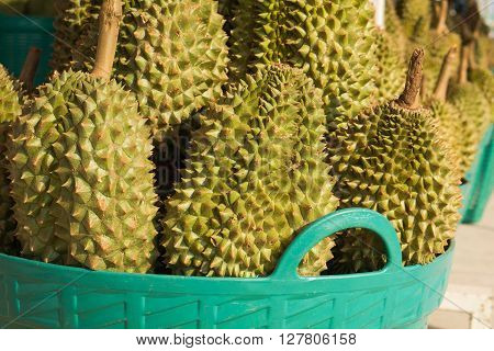 Durian fruit in the basket at the market
