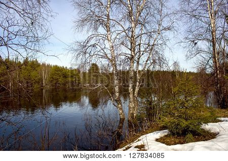 Spring landscape. River Poncha. North Karelia. Russia