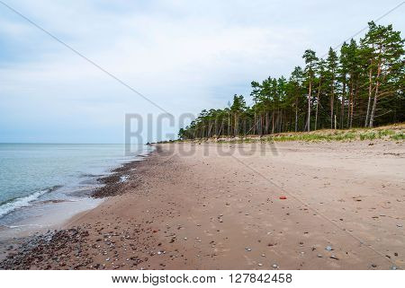 Abandoned beach with trees in Liepaja Latvia