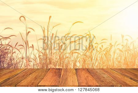 old wood texture with blur grass flower in the field background