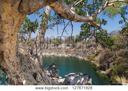 Otjikoto Lake the smaller of only two permanent natural lakes in Namibia Africa.