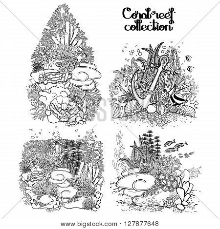 Coral reef  collection in line art style.  Sea and ocean plants and rocks isolated on white. Coloring page design.