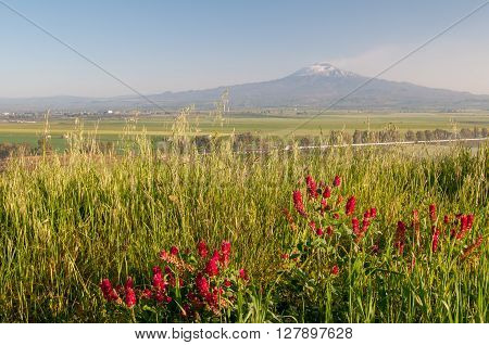 Landscape Of Sicily