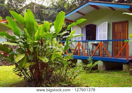 Brazil traditional house. palm trees in the garden Brasil