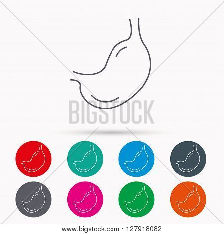 Stomach icon. Gastroscopy health sign. Anatomical body organ symbol. Linear icons in circles on white background.