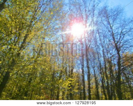 Forest sun dry brush watercolor painting with sun