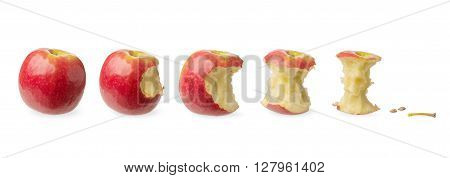 Fresh whole apple slightly bitten tested likely to be eaten nearly eaten already eaten isolated on white background. Concept of the consumption expenditure expense and stages of a process