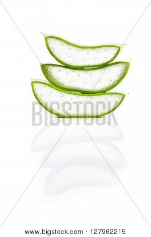 Aloe vera plant isolated on white background