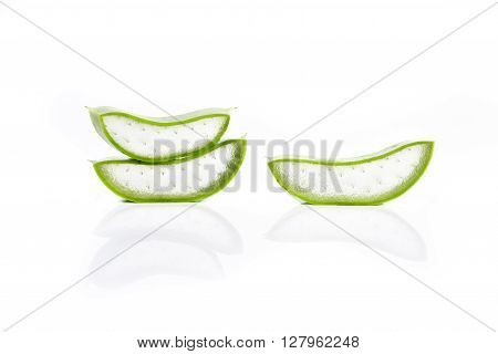Aloe vera plant isolated on white background