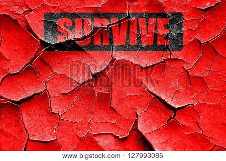 Grunge cracked Survive or die