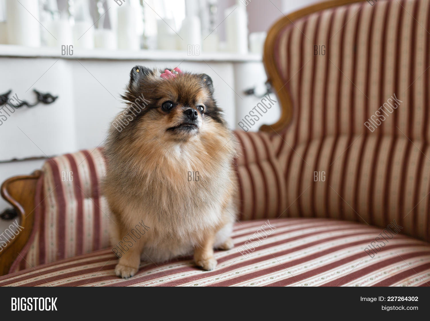 región de pomerania