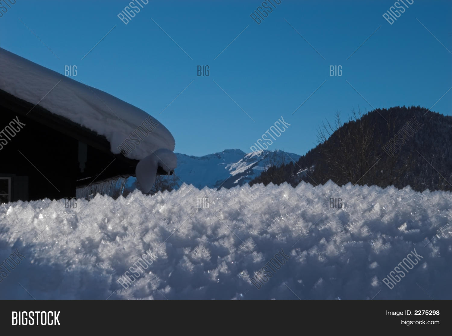 Image Preview
