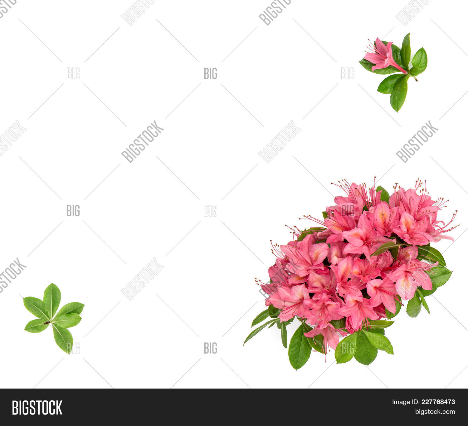 decoration pink flowers with green powerpoint template decoration pink and green powerpoint templates