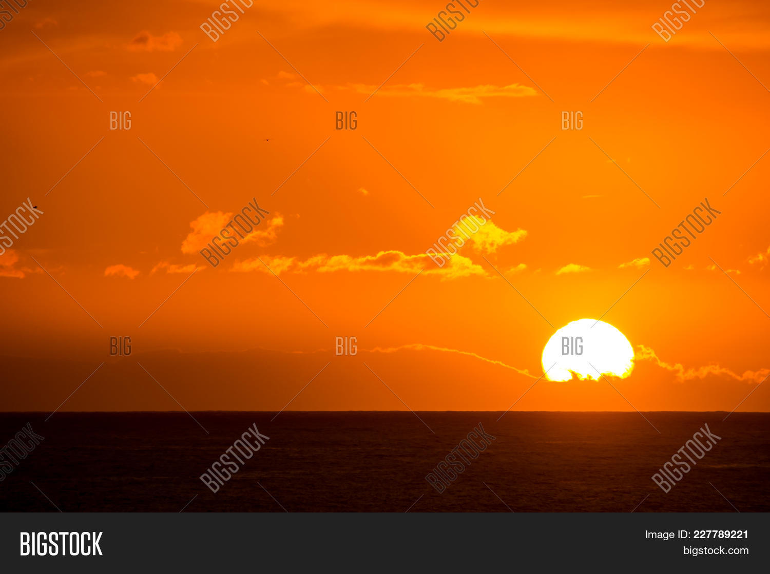 beautiful powerpoint background