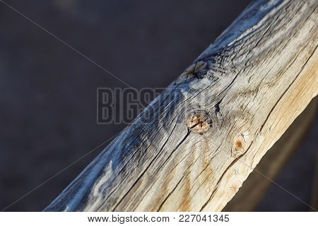 Screw Screwed In Wood With Wood Shavings