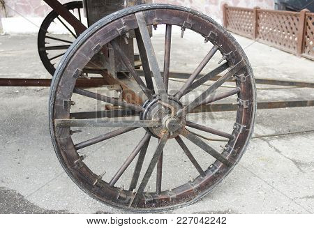 Truck Wheel Carts For Horses Close Up