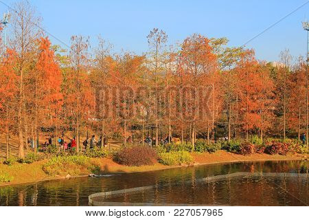 The  Tsing Yi Park At Hong Kong