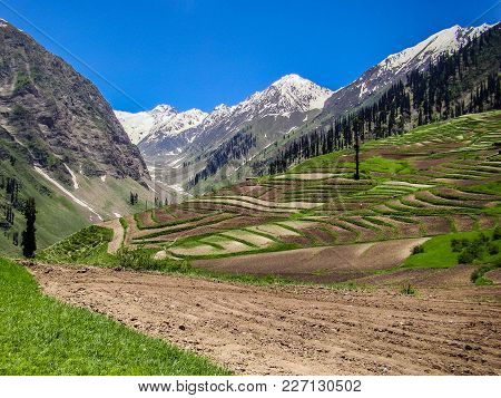 Beautiful View Of Lalazar Mountainous In Naran Valley, Mansehra District, Khyber-pakhtunkhwa, Northe