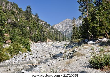San Gorgonio 광 야