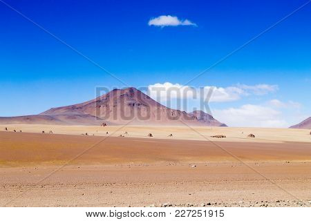 Bolivian Landscape, Salvador Dali Desert View. Beautiful Bolivia