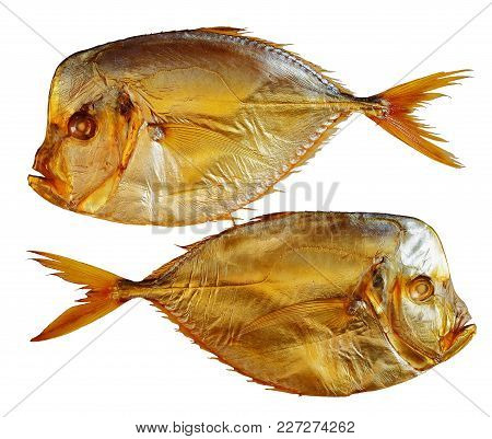 Two Moon Fishies Isolated On White