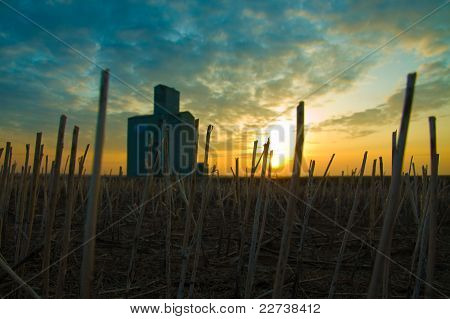 Prairie Sun Set