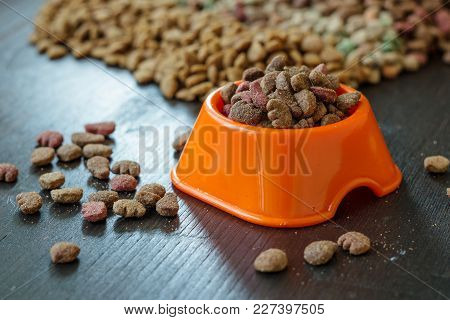 Pet Food In Bowl For Cat And Dog