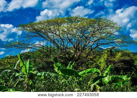 Color Image Of Rural Solano And The Surrounding Sierra Madre Mountains Of Northern Luzon, Philippine