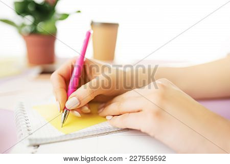 The Female Hands Holding Pen. The Phone On Trendy Pink Desk.