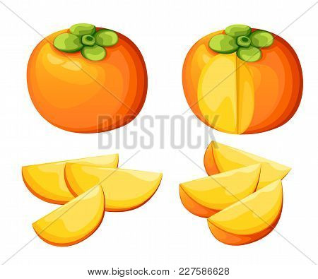 Persimmon With Leaves Whole And Slices Of Persimmons. Vector Illustration Of Persimmon. Vector Illus