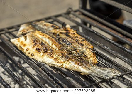 Popular Barbecued Fish Eaten In Portugal .