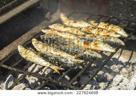 Delicious Barbecued Sardines - Traditional Food From Portugal