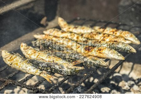 Delicious Barbecued Sardines - Traditional Food From Portugal