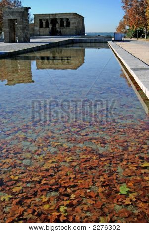 ใบไม้สะท้อน