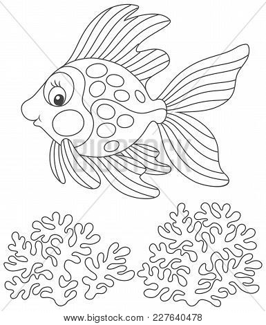 Tropical Gold Fish Friendly Smiling And Swimming Over Corals, A Black And White Vector Illustration 