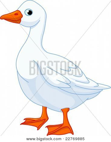 Illustration of white domestic goose isolated on white background