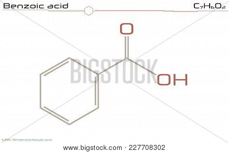 Large And Detailed Infographic Of The Molecule Of Benzoic Acid