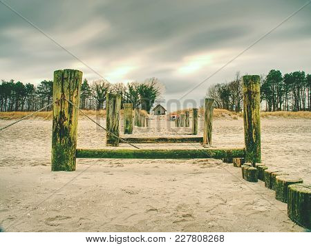 Mossy Breakwater Poles In Smooth Water Of Sea Within Windless. Sandy Beach Wit Algae, Stones And She