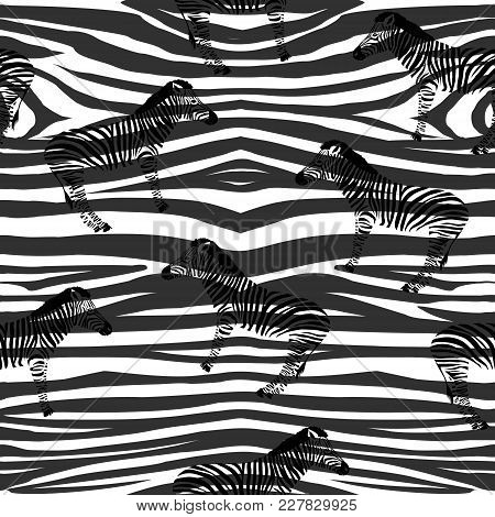 Sketch Seamless Pattern With Wild Animal Zebra Print, Silhouette On White Background. Vector Illustr