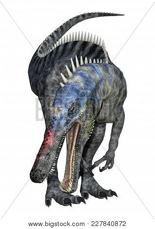 3D Rendering Dinosaur Suchomimus On White