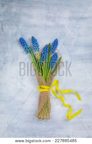 A Bunch Of Fresh Muscari With A Yellow Ribbon. Spring Or Easter Postcard Concept. Toned.