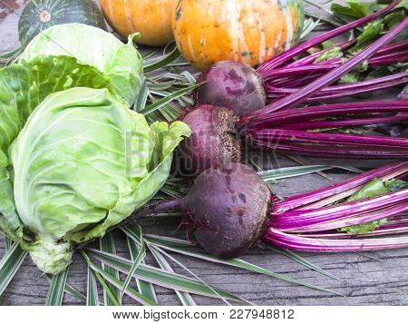Vegetables  From Organic Grower Farm On A Wooden Background.cabbage, Pumpkin  And Beet. Top View. Pl