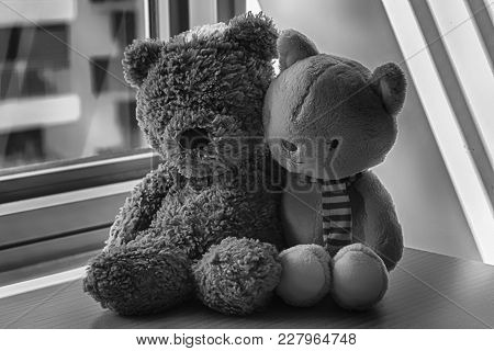 Monochrome Bear And Kitten Toy Sitting By The Window In Shadows.