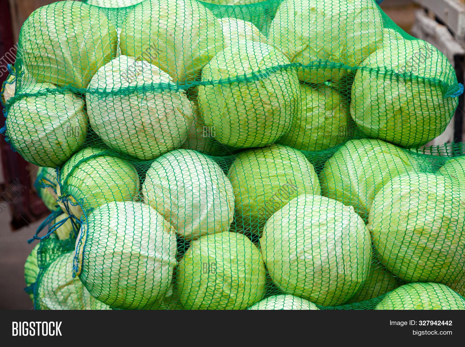 White Cabbage Bags Image & Photo (Free Trial) | Bigstock