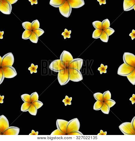 Seamless Pattern Of Cute Tropical Plumeria On A Color Background. Bright Summer Watercolor Illustrat