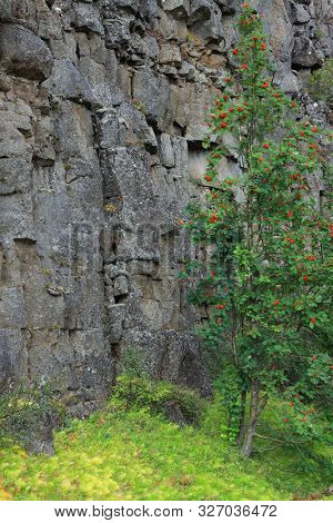 Autumn landscape in Pingvellir National Park, Iceland, Europe