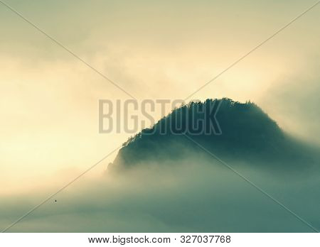 Forest. Green Mountain Forest Landscape. Misty Mountain Forest. Fantastic Forest Landscape. Mountain